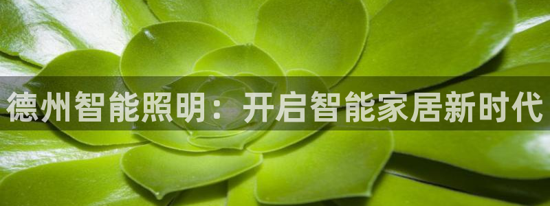 云顶国际yd8888
