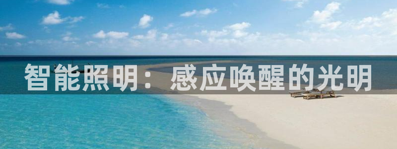 云顶国际旅行社官网