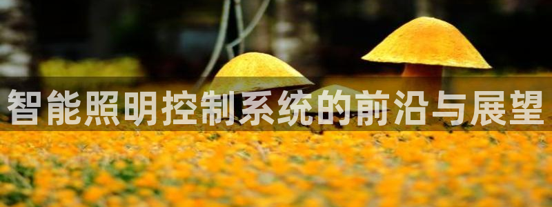 云顶集团中国区执行总裁是谁