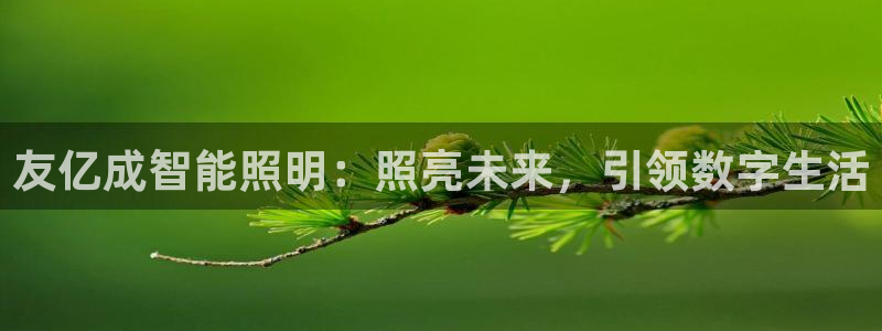 云顶国际会议中心地址