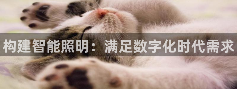 云顶国际提现多久到账