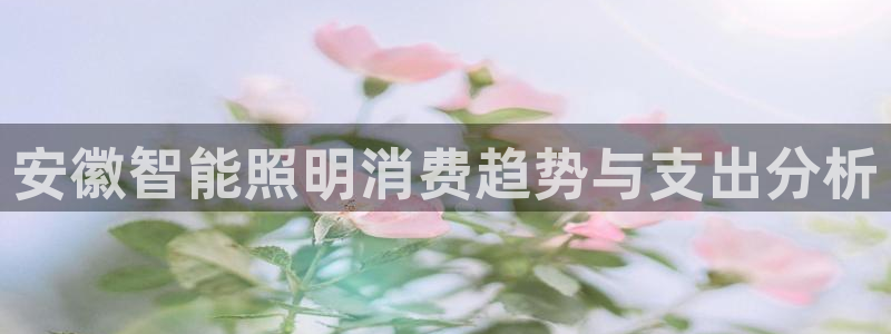 云顶电子游戏网站登录
