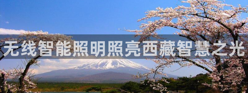 云顶最新