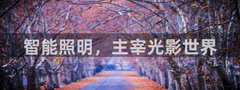 云顶国际服哪个服人多