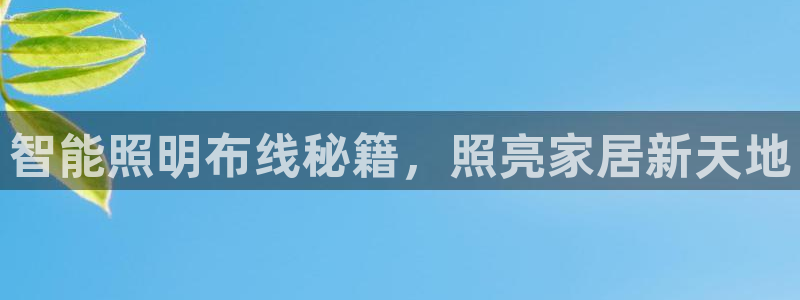 云顶国际服加速器