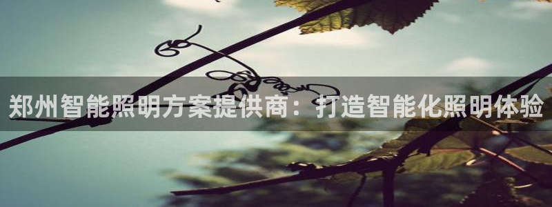 云顶国际培训机构