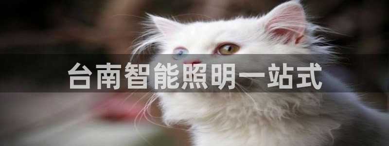 云顶国际服S9什么时候更新