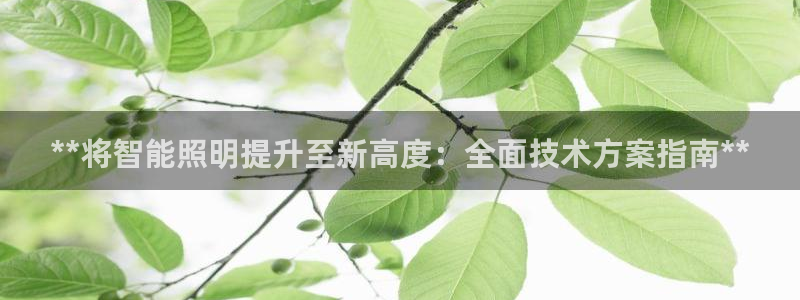云顶国际在线登录官网