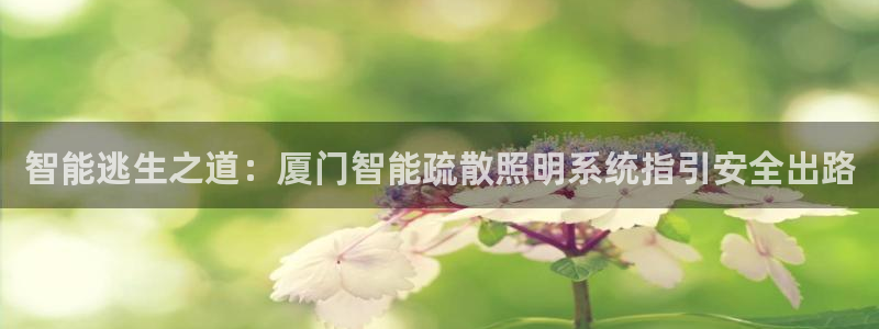 云顶集团3118app下载
