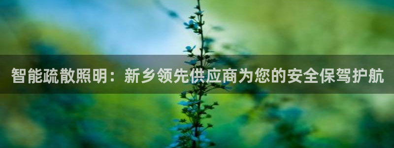 云顶国际平台为什么提现不了