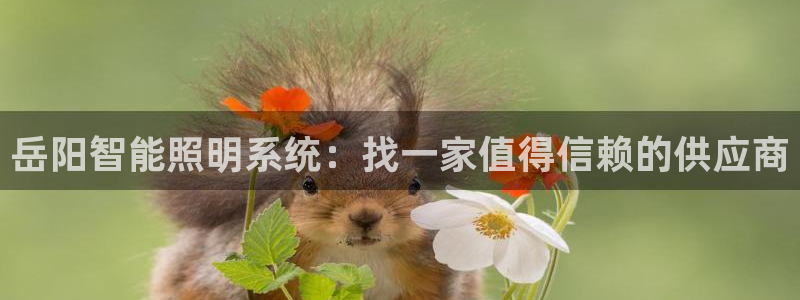 云顶游戏官网网址