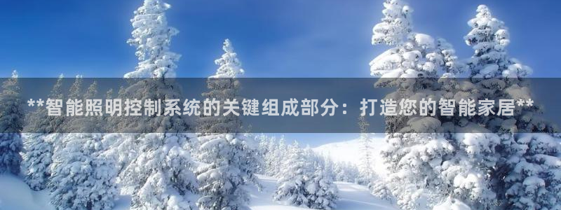 云顶国际app官方下载安装最新版