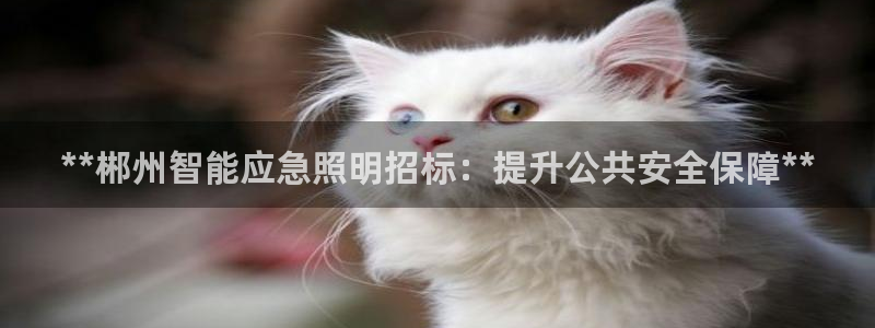 云顶集团投资是不是真的吗