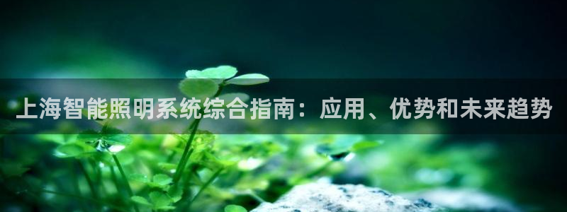 云顶国际停车费