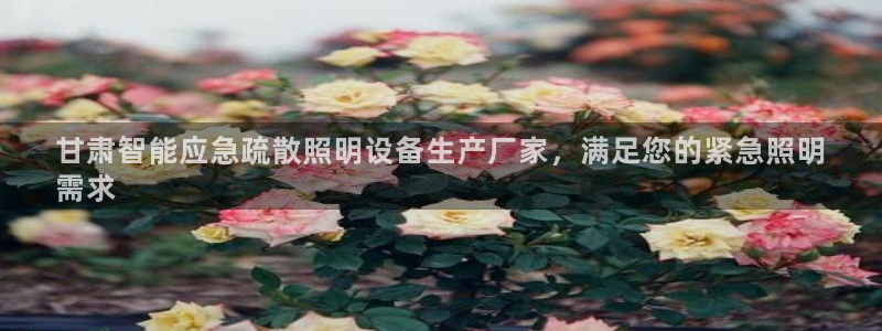 云顶国际婚礼大酒店位于哪里的