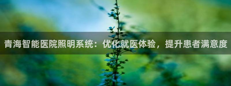 云顶国际培训中心地址