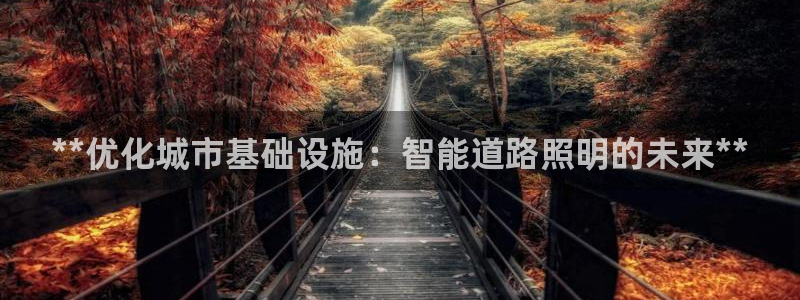 云顶国际软件