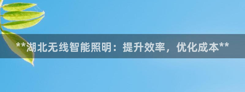 云顶国际测试服怎么进