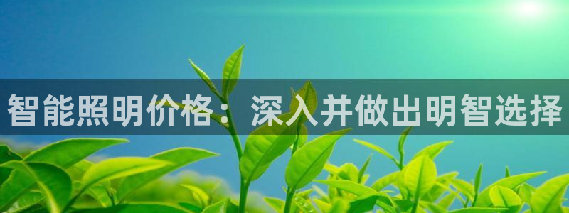 云顶国际酒店几星级的