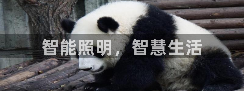 中国云顶集团