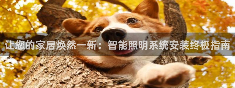 云顶国际服s10什么时候更新
