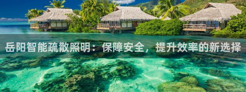云顶国际公馆在哪个位置