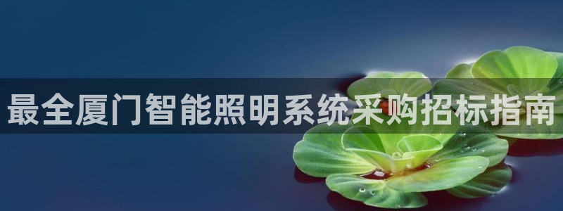 云顶新网站