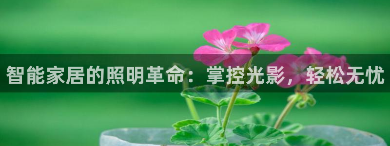 云顶国际大酒店位于哪里