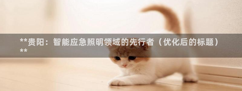 云顶国际公馆有取暖吗