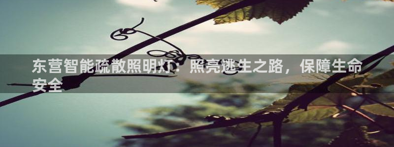 云顶集团简介资料