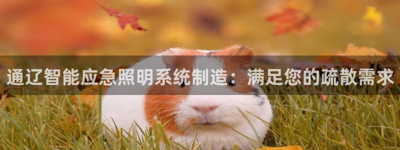yd2333云顶电子游戏网址多少呢?