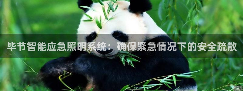 云顶国际酒店老板叫什么