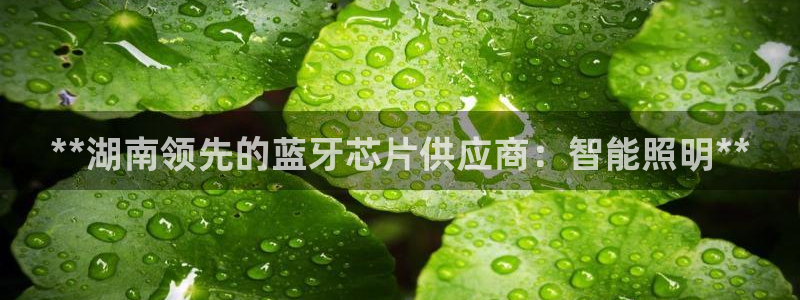 云顶国际服服务端错误