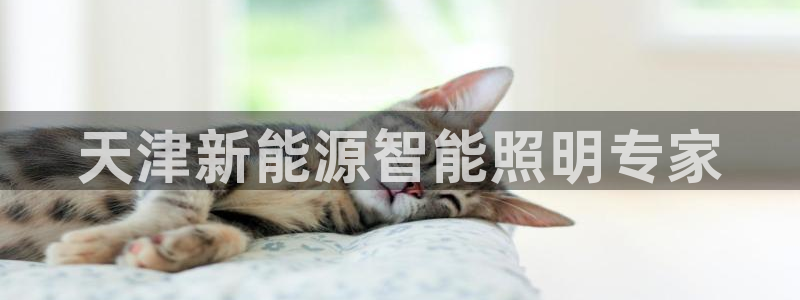 云顶国际大酒店在哪里