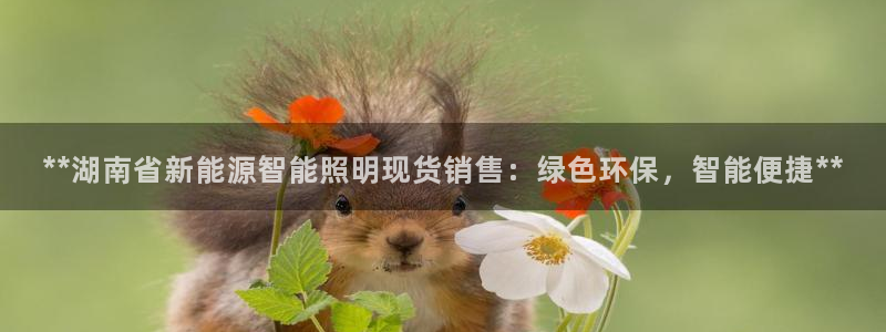云顶电子游戏平台