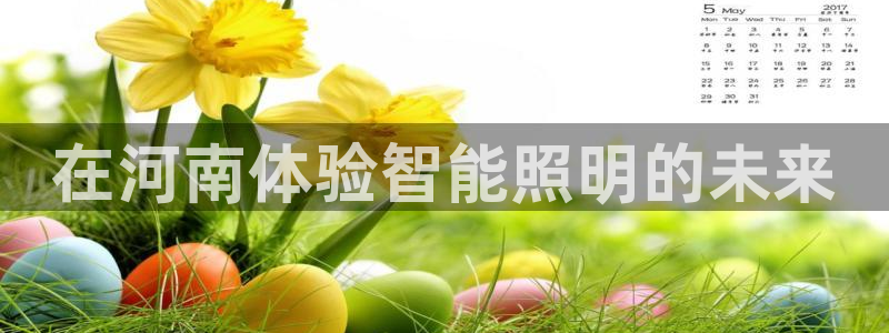 云顶集团公司 英文