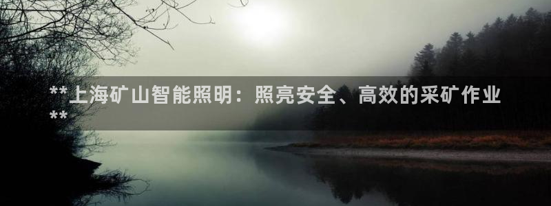 云顶国际游戏网址是什么