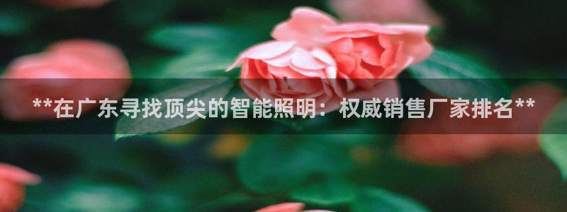 云顶国际麻将胡了多少张牌