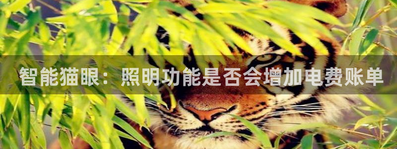 官方云顶国际网站下载
