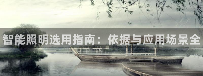 12311云顶线路检测