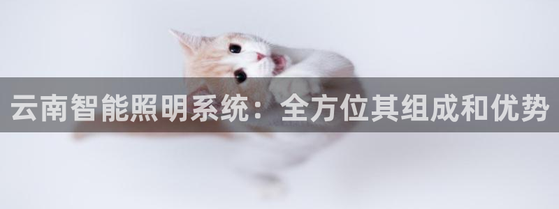 云顶国际音乐会所怎么样