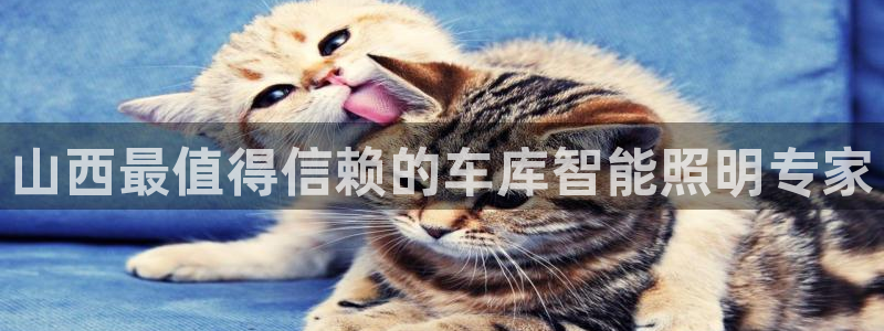 云顶官方下载