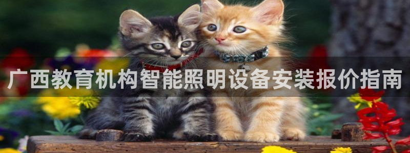 云顶国际网页版官网：广西教育机构智能照明