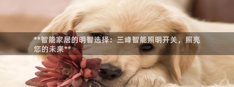 云顶国际服最新版：**智能家居的明智选择
